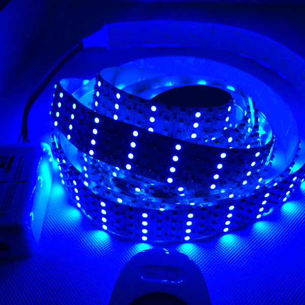 Quad Row Brightest RGB DC24V with Single Color 3528 LEDs Flexible LED Light Strip 2400LEDs per 16.4 Feet Engineering lighting Quad Row Brightest RGB DC24V with Single Color 3528 LEDs Flexible LED Light Strip 2400LEDs per 16.4 Feet Engineering lighting
